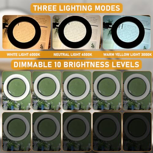 HASTHIP® Desk LED Magnifier with Flexible Arm USB 3-Color Modes 10X with Controller Mounted Clip Lamp Magnifying Glass for Repairing Reading DIY Crafting 2 PCS HASTHIP® Desk LED Magnifier with Flexible Arm USB 3-Color Modes 10X with Controller Mounted Clip Lamp Magnifying Glass for Repairing Reading DIY Crafting 2 PCS